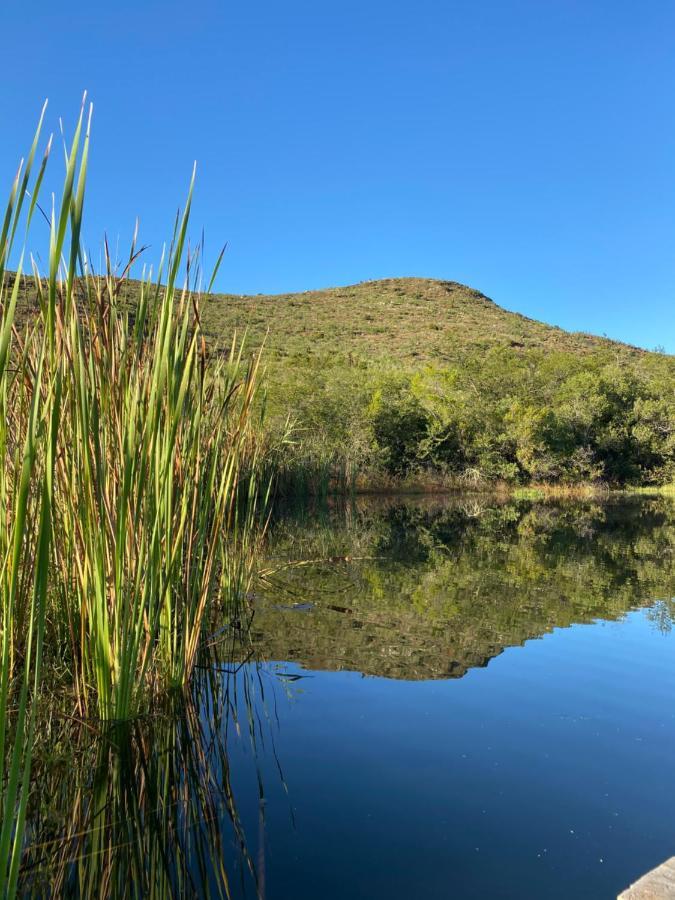 The Retreat At Groenfontein كاليتزدورب المظهر الخارجي الصورة