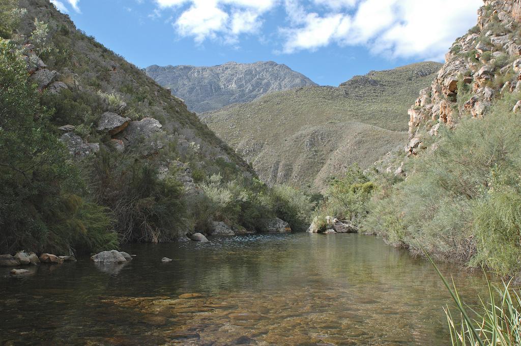 The Retreat At Groenfontein كاليتزدورب المظهر الخارجي الصورة